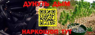 каннабис Кунгур