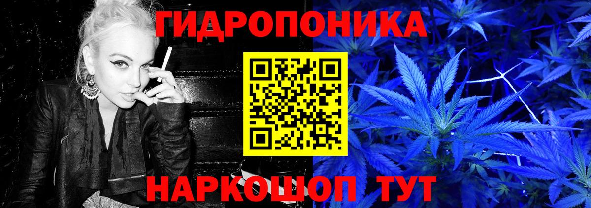 Шишки марихуана сатива Ковров